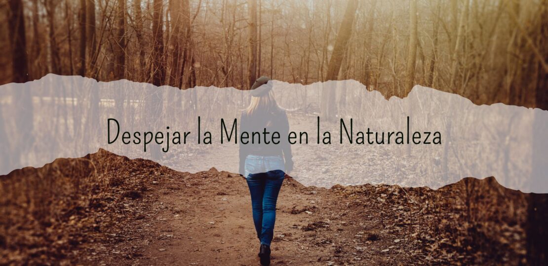 mi camino hacia el bienestar – Despejar la mente en la naturaleza relajación y claridad mental